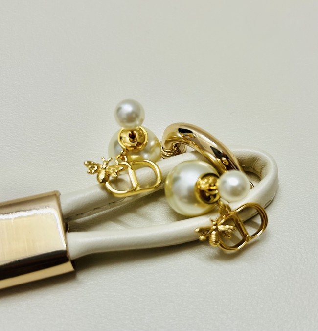 Dior Earrings CE89992