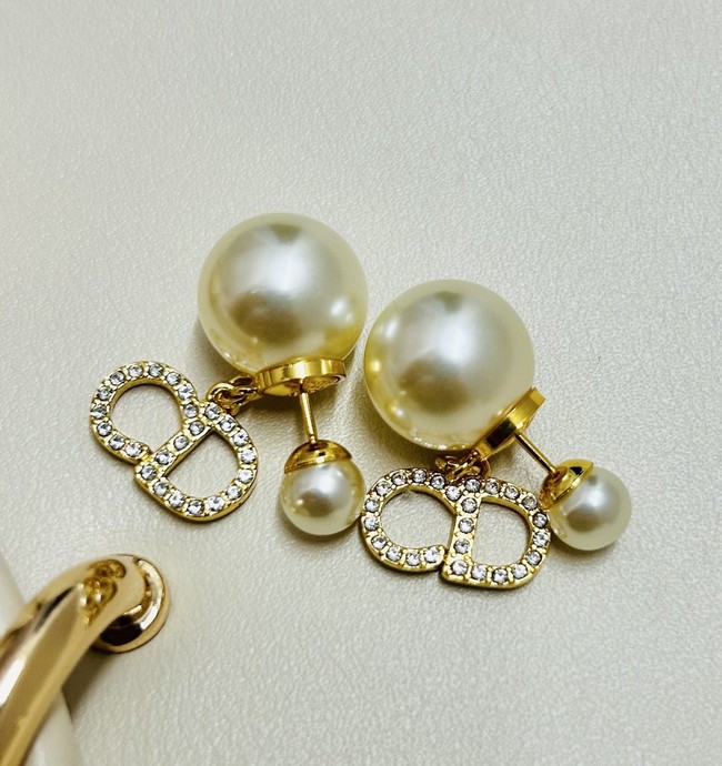 Dior Earrings CE89993